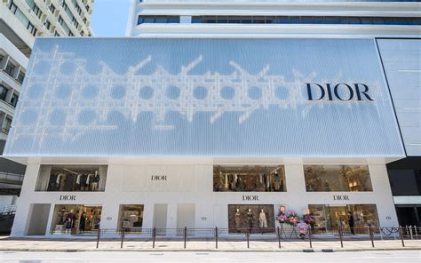 dior hk online|dior hk website.